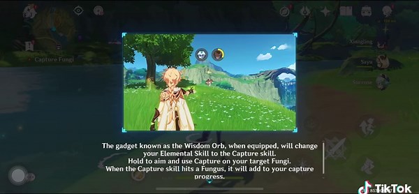 Fabulous Fungus Frenzy: Fungi Catching Zone Tips