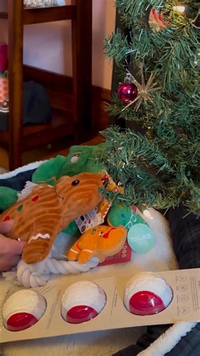 Santa Paws strikes again! Get your pets in the holiday spirit with deals on toys and treats picked out just for them. 🐶🎄 | Gabe's Stores