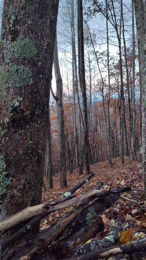 Old mountain quiet this morning. | Glen Price