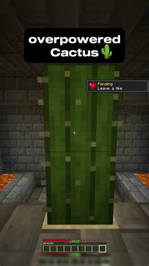 This 1 Block Breaks Minecraft Logic 🤯 #Cursed