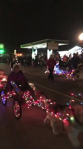 Husky parade 😍😍😍 | Master, Wendell