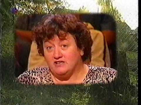 Blitz - Maschen-Draht-Zaun (Januar, 2000)