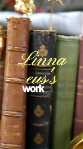 Classifying Animals Through History