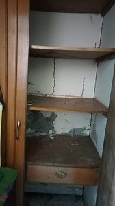 উইপোকা দমন সার্ভিস বুকিং করতে এখনই যোগাযোগ করুন আমাদের সাথে #pestcontrlservicesbd #PestControl #pestcontrolexperts | Pest N Clean - Pest Control and Cleaning Services | Facebook