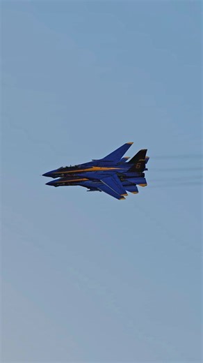 Blue Angels Tuck Over Roll in the F-14 Tomcat! #dcsworld | Full Burner Sims