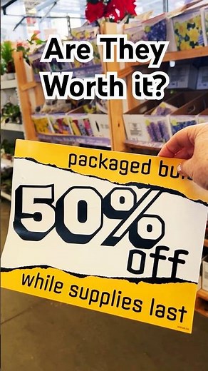 How To Pick the BEST Flowering Bulbs on Clearance! (Gardening Tips)