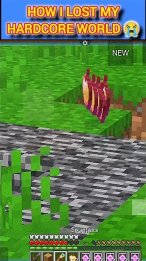 How l lost my Hardcore world 😭 #minecraft #gaming