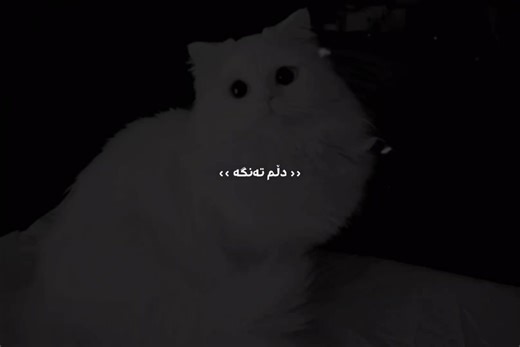 Active Music Trends in Part 141