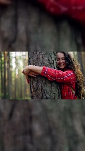 A Simple Tree Ritual That Brings Instant Calm 🌿