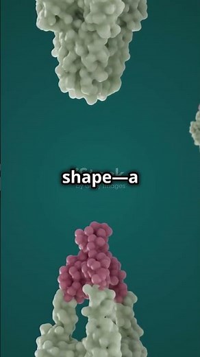 Anfinsen’s Protein Folding Experiment