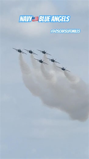 U.S Navy Blue Angels