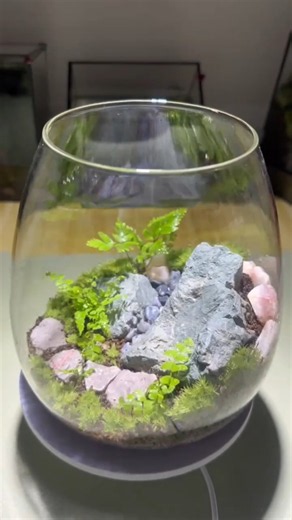 Satisfying Terrarium Setup in a Glass Bowl #terrarium #mossterrarium #mossgarden #terrariumart