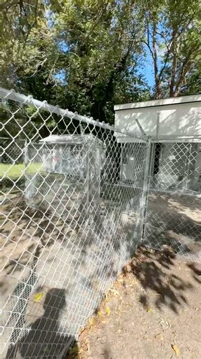 7.4K views · 267 reactions | Animal Aid Society is a 100%...