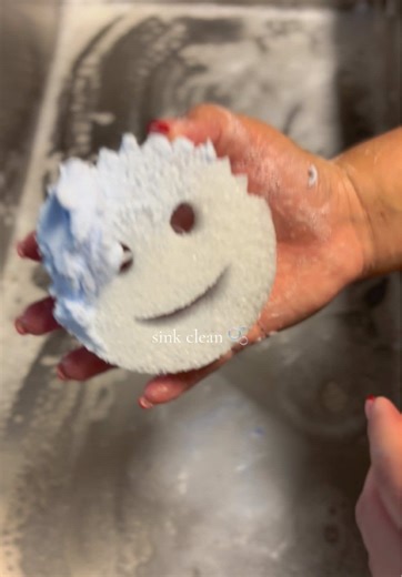 Cleaning Kitchen Sink with Scrub Daddy Techniques