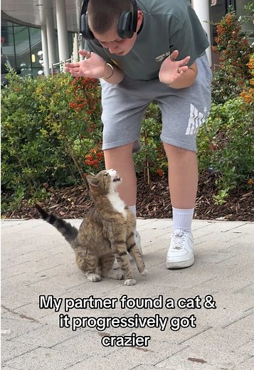 Hilarious Encounter with a Hungry Cat Named Nemo