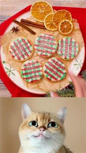 Sweet Surprises: Easy DIY Desserts to Impress Everyone! 🍰🎉