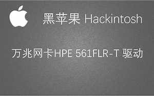 黑苹果驱动万兆网卡 561flr-T