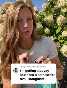 Rugged enough for the trail. Light enough for every day. | Wilderdog