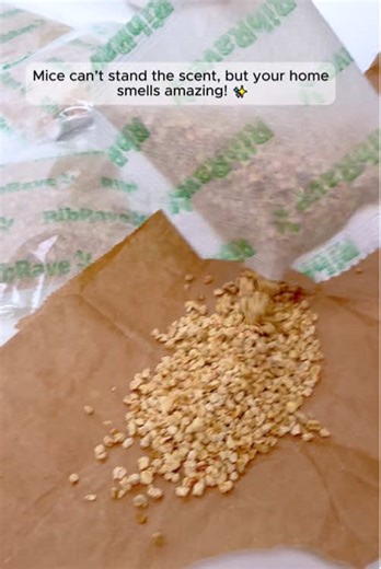 Simple Barrier Solutions for Rodent Control