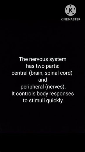 Nervous System Overview #short #neet