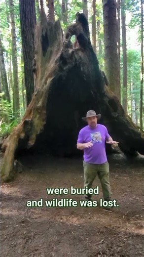 Restoration is working
