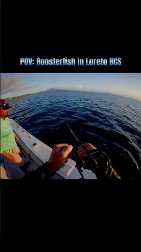 Roosterfish Fishing at Sunrise 🌅 | Flylining Sardines in Loreto, B.C.S.