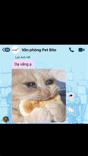 Ủa sếp sao đứng gần quá giả cầy chi dạ? @Pet Bite Việt Nam @Con Cún Đi Cày #đilamcogivui #vanphong #dailymessage #xuhuongtiktok #sontungmtp