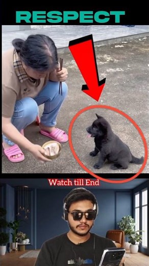 😱Even Animals Know Respect! ❤️😍 #shorts #shortsvideo #viral #trending #viralvideo #humanity #dog