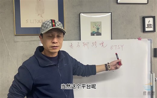 ETSY 网络商店平台 跨境电商入门教程 从选择平台开讲，全程真人实操讲解！