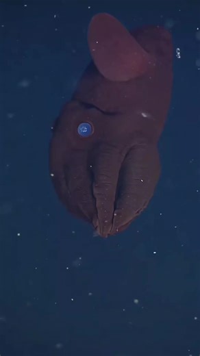 La profondeur des océans : Mystères et dangers