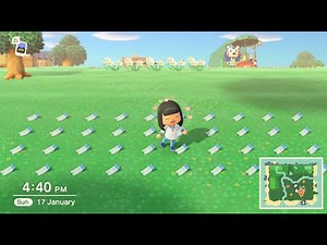 How to order ACNH items for free using my order bot and ACNHMS in a discord server.