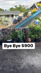 #fypシ゚viral #rollofftruck #rolloffdumpster #rolloffcontainers #expensive #cleaningmotivation @followers | Marcos Jen Manera Felix