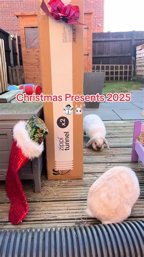 Unique Christmas Presents for Girls in 2025