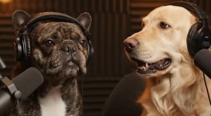 The Internet’s New Favorite Podcasters Are... Dogs?