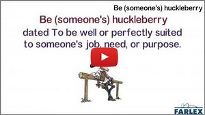 I'm your huckleberry