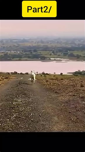 part2/FilmExplained ‎#MovieExplanation ‎#Ending #ExplainedM ‎#MovieBreakdown ‎#FilmAnalysis ‎ ‎