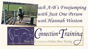 Freejumping: fast, furious and lots of fun! | Connection Training