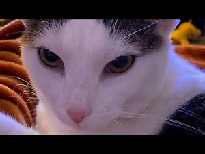 Beyond absolute infinity [1/5] (MOST VIEWED VIDEO)