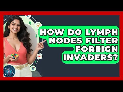 How Do Lymph Nodes Filter Foreign Invaders? - All About the Immune System