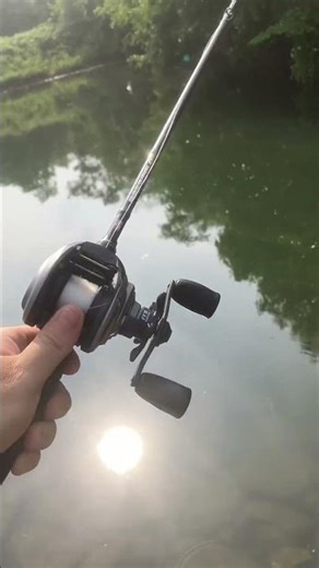 Abu Garcia MAX X EZ CAST VS Shimano BASS ONE XT comparison #baitcastingreel #fishing #shorts