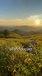 140K views · 4.7K reactions | กว่าได้มาในแต่ละวัน ถึงกับหลังชนฝา✌️ #nature #thread #backpack | BackPack MeranTau | Facebook