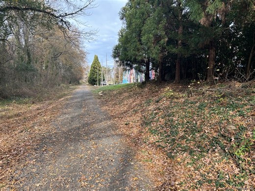 Greensboro’s RED Cinemas announces immediate closure