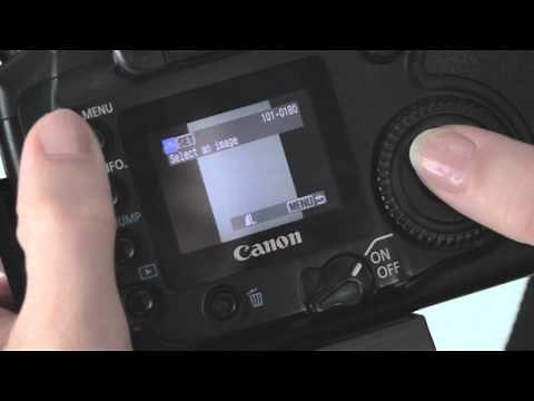 How to Photograph Your Own Artwork