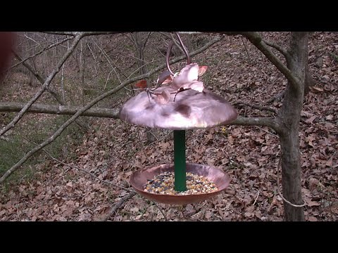 Easy Copper Birdfeeder