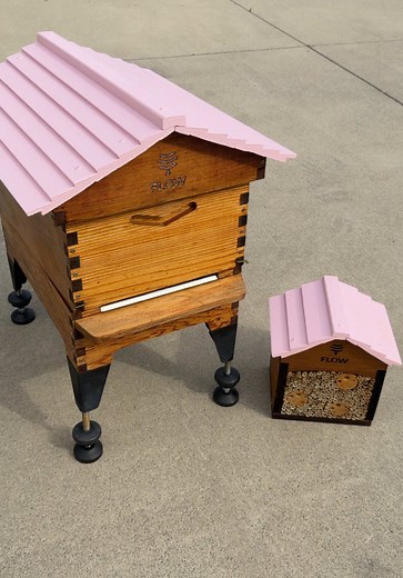 New Honey Bees Arrive to Welcome Spring!