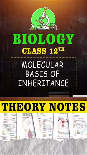 Molecular Basis of Inheritance | Class 12th | Biology Theory Notes by SP Sir | Sir Einstein Academy