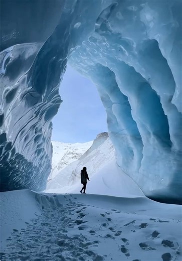 This is an experience you’ll never forget. Once you’re buckled in, you’ll soar over glacier fields, then land to explore ice caves and icebergs up close. Along the way, your experienced pilot will share stories of Knik Valley, pointing out glaciers … and maybe even some wildlife! The best part? This kind of adventure runs year-round, so you can add it to your Alaska trip anytime! #alaskaviews #alaskatok #exploringalaska #travelalaska