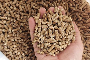 Granulés de bois : comment stocker une tonne de pellets en vrac ?