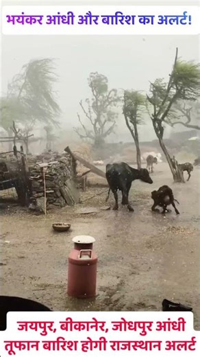 😱 राजस्थान में भयंकर तूफान आ गया! #RajasthanWeather #राजस्थानमौसम #AandhiToofan #BarishAlert