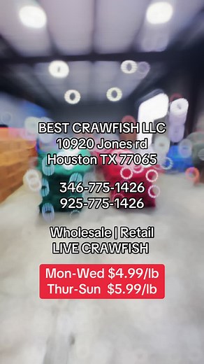 Fresh Live Crawfish in Houston - Best Crawfish LLC